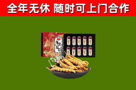 通河县回收冬虫夏草价格