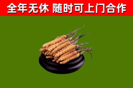通河县烟酒回收冬虫夏草.jpg
